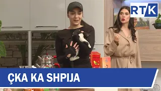 BEST of Çka ka Shpija 28 S05