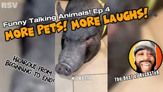 Best of RxCKSTxR Funny Talking Animal Voiceovers Compilation Ep 4