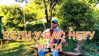 ЕСЛИ У ВАС НЕТУ ТЕТИ #ирониясудьбы #cover #с_лёгким_паром #accordion