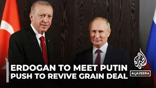 What’s at stake in the upcoming Erdogan-Putin meeting?