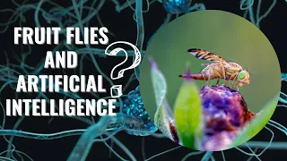 Fruit Fly Brain Mapping: Resembles Artificial Intelligence Models