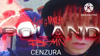 YOUNG MULTI - POLAND REMIX [Official Video] (CENZURA, BEZ PRZEKLEŃSTW)