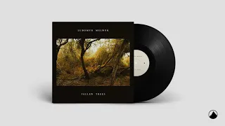 Lubomyr Melnyk - Requiem for a Fallen Tree