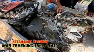 KETAM LAUT SEGAR NAIK HIDUP-HIDUP. IKAN TEMENUNG SEKILO RM8, 3 KILO RM20. KETAM ISI PENUH.