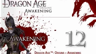 Прохождение Dragon Age: Origins - Awakening. Часть 12. Всадник без головы.