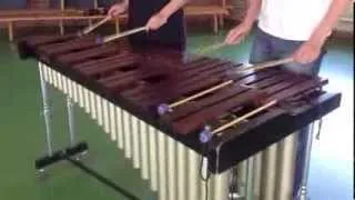 Amelie - comptine d'un autre été on marimba (cover)