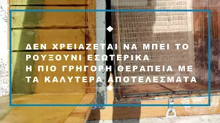 ΕΣΩΤΕΡΙΚΑ ΤΗΣ ΚΥΨΕΛΗΣ ΚΑΤΑ ΤΗΝ ΕΞΑΧΝΩΣΗ