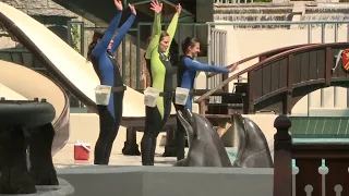 Marineland criminally charged for shows it says are educational