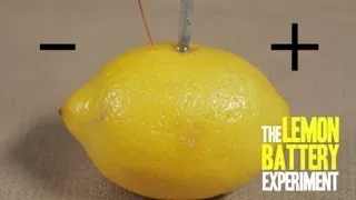 How to Make a Lemon Battery