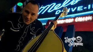 Mr SANDMAN (Upright Slap Bass Cover) - Djordje Stijepovic