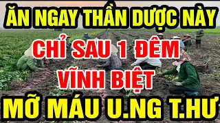 Phát Hiện 7 THỰC PHẨM Làm Sạch Mạch Máu, Quét Sạch Mỡ Máu, Hồi Sinh Cơ Thể,Ăn Vào Bách Bệnh Tiêu Tan