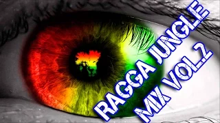 Ragga Jungle Mix Vol.2 by Mind MIX Music ♫ 1 Hour Of Reggae Songs 2017