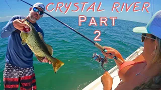 HOT Fishing Inshore Crystal River Florida  TROUT & GROUPER  Part 2