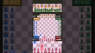 И снова четверные командные шахматы!