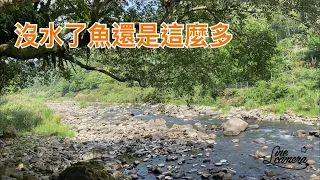 Creek fishing in Taiwan 第一次來探點沒水仍然大咬可惜要下雨提前收竿