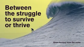 Between the struggle to survive or thrive - Giant Nazaré from the water