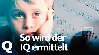 Der IQ-Test und seine Aussagekraft | Quarks