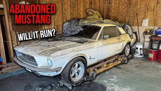 First Wash in 18 Years: ABANDONED Ford Mustang | Will It Run?