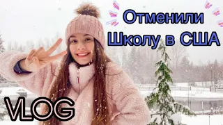 Отменили школу в США? |VLOG|