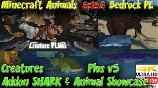 Creatures Plus v5 Addon Showcase Sharks Animals Minecraft Bedrock PE Minecraft Animals Ep158