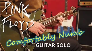 Pink Floyd / David Gilmour - Comfortably Numb (Solo) by Gaku