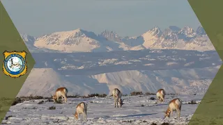 Winter Closures To Protect Wildlife