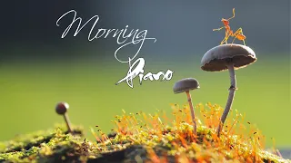 Morning Relaxing Music - Positive Piano Music With Birds Singing For Stress Relief and Studying