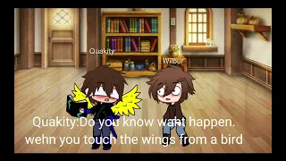 Dont touch qhuakity’s wings (quackbur)(meme)