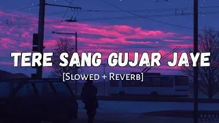 Tere Sang Gujar Jaye Ye Umar Jo Baki Hai | Slowed And Reverb | Armaan Malik | Lofi Vibes