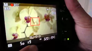 Nikon D7000 Movie Mode Settings Explained