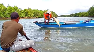 Spot ini di huni ikan Patin dan kawanan Baramundi