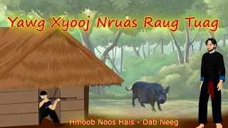 Yawg Xyooj Nruas Raug Tua Pem Xam Nam /23/4/2024/