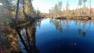 ОХОТА НА ГУСИНОМ БОЛОТЕ/ЗАГОТАВЛИВАЕМ ДРОВА,УБИРАЕМСЯ В ИЗБЕ! ТАЁЖНЫЙ БЫТ И ПЕРВЫЕ"ПОЛОМКИ"ВЕЗДЕХОДА