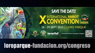 X International Parrot Convention of Tenerife