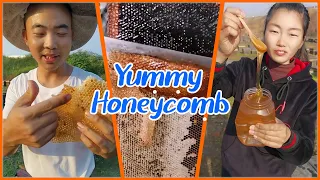 HoneyComb Mukbang | Trying Honeycomb ASMR | Eating Honey BEE 🎖️60