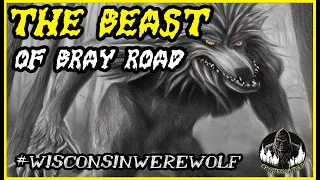 The Beast of Bray Road: The Hunt for the Wisconsin Werewolf - A Real Cryptid? Or Just Folklore?