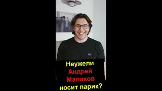 Андрей Малахов носит парик???