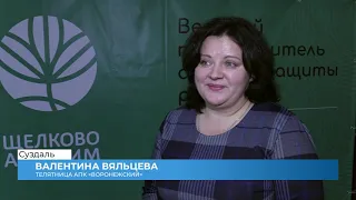 День сельского хозяйства в Суздале (2019 11 01)