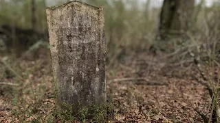 Searching For Old Plantation Cemetery | Stallings Cemetery