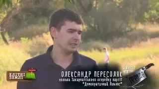 Земельний дерибан по-закарпатськи