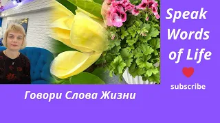 Speak Words of Life❤️Говори Слова Жизни#Jesus  #youtube #вера #слова #новинка #молитва #развитие#new