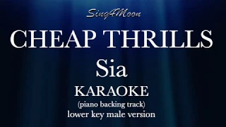 Cheap Thrills (Acoustic Piano Karaoke Instrumental) SIA lower key male version