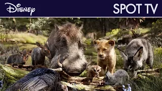 Le Roi Lion (2019) - Spot TV : Timon et Pumbaa | Disney