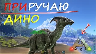 ARK Survival Evolved, Как приручить динозавра в АРК