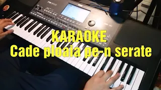 Cade ploaia pe-nserate (Re'M) - KARAOKE