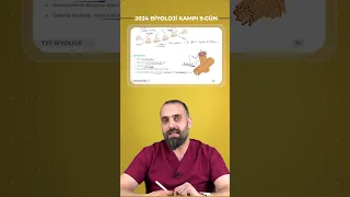 MEB 10. Sınıf kitabı vurgusu