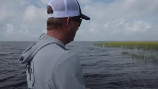 Kevin VanDam fishing tips with the Strike King KVD Sexy Frog