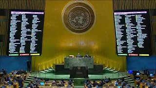 Assembleia Geral da ONU dá voto favorável à adesão da Palestina em decisão não vinculante | AFP