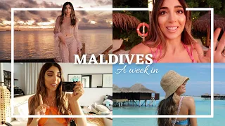 WHAT A WAY TO START THE YEAR! What I Wore & Did In The MALDIVES!  | Amelia Liana