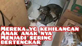 Mereka yang kehilangan anak anak nya menjadi liar